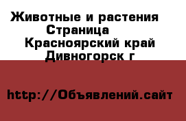  Животные и растения - Страница 10 . Красноярский край,Дивногорск г.